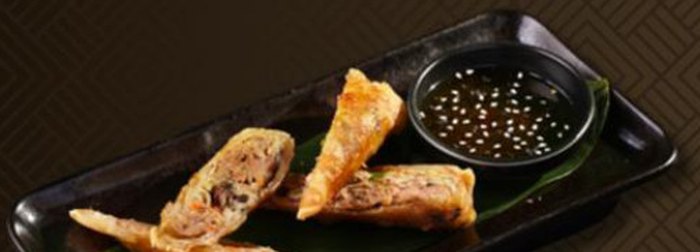 3. Nem Việt Nam Vietnamesische Frühlingsrollen / Springrolls